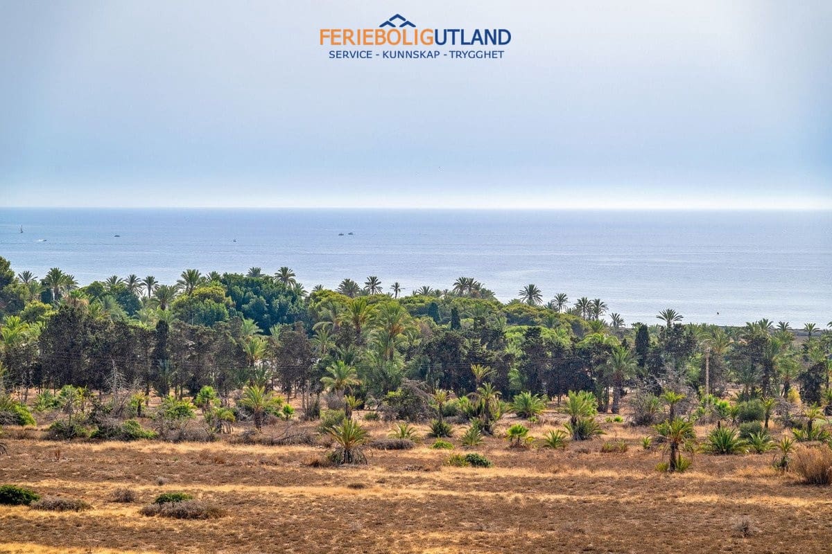 2 quarto Penthouse para venda em Punta Prima com piscina garagem - 225 000 € (Ref: 10029750)