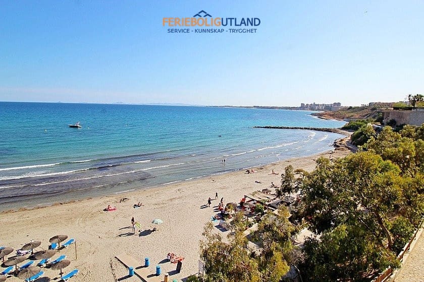 5 makuuhuone Huvila myytävänä paikassa Cabo Roig mukana uima-altaan - 990 000 € (Ref: 10031013)
