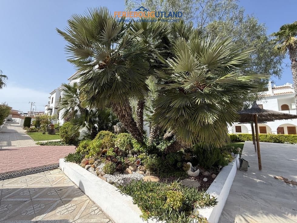 3 sovrum Hus till salu i Ciudad Quesada med pool garage - 199 950 € (Ref: 10113296)
