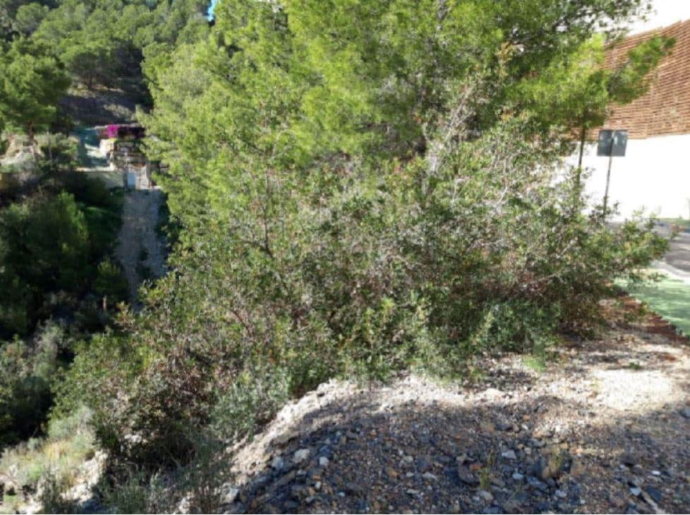 Grond te koop in Altea - € 320.000 (Ref: 9427606)