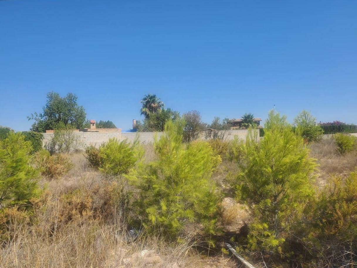 Undeveloped Land for sale in Valencia city - € 31,000 (Ref: 9427639)