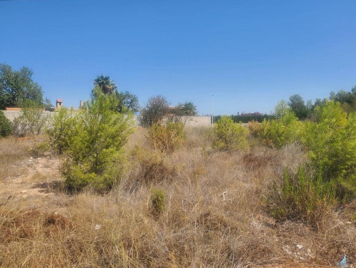 Undeveloped Land for sale in Valencia city - € 31,000 (Ref: 9427639)
