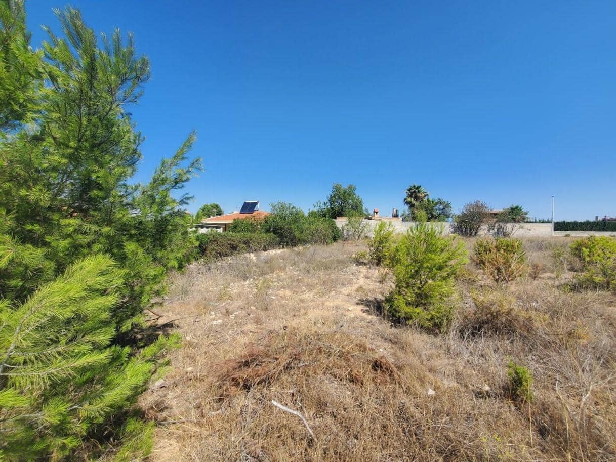 Undeveloped Land for sale in Valencia city - € 31,000 (Ref: 9427639)