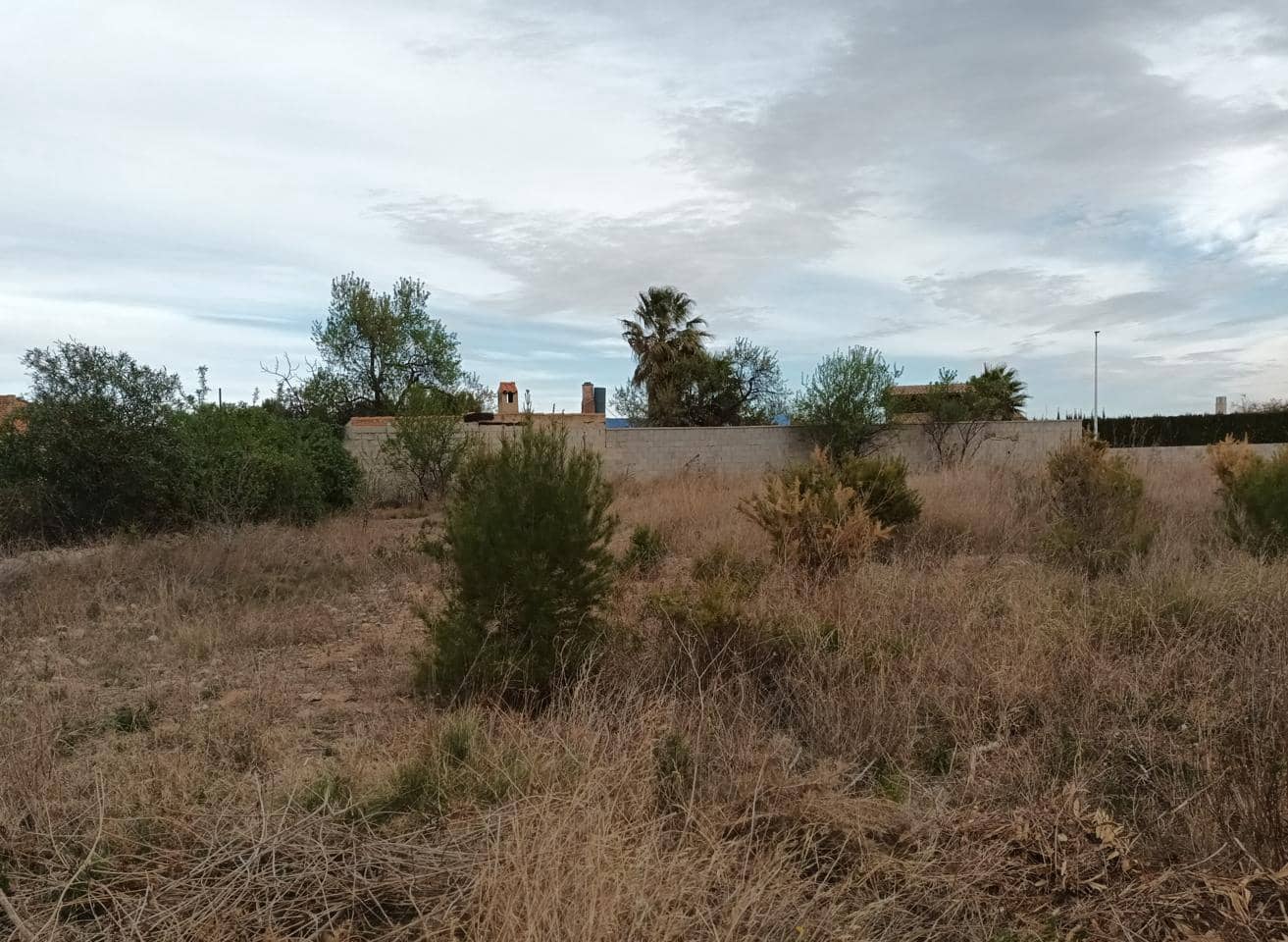 Undeveloped Land for sale in Valencia city - € 31,000 (Ref: 9427639)