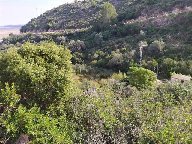 Terreno Não Urbanizado para venda em Devessa - Monte Pego, Dénia - 171 000 € (Ref: 9427642)