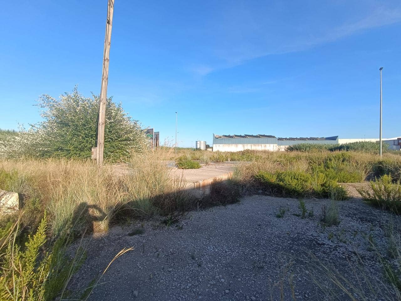 Comercial para venda em Oliva - 690 000 € (Ref: 9427709)