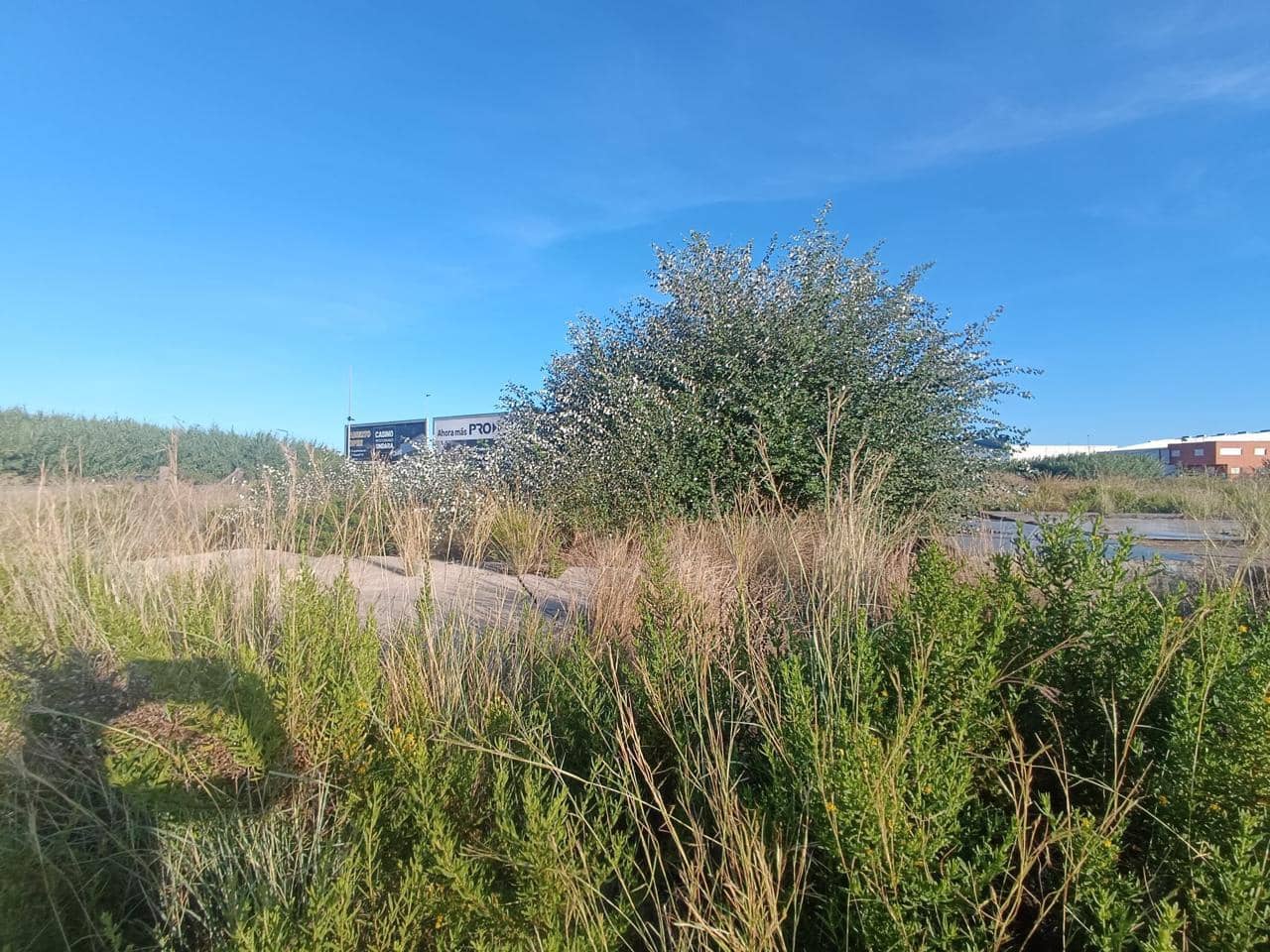 Comercial para venda em Oliva - 690 000 € (Ref: 9427709)