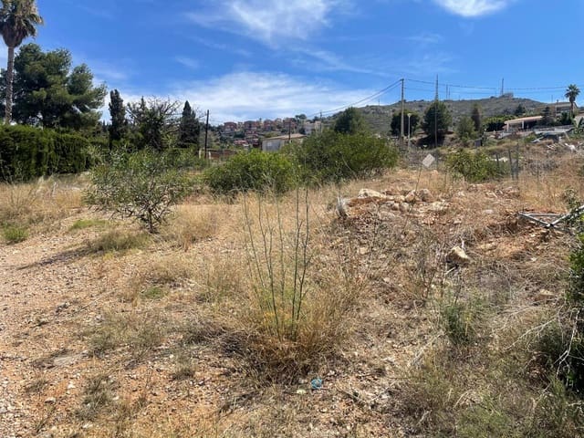 Undeveloped Land for sale in Chiva - € 110,000 (Ref: 9427728)