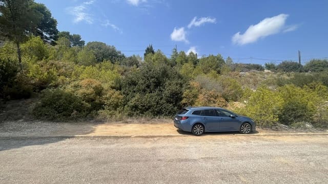 Mark till salu i Chiva - 30 450 € (Ref: 9427757)