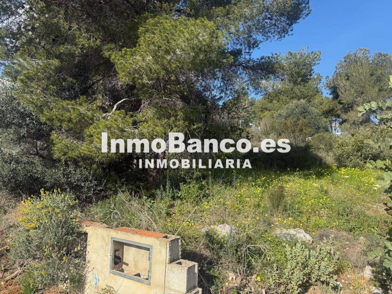 Undeveloped Land for sale in Torrent - € 70,000 (Ref: 9427758)
