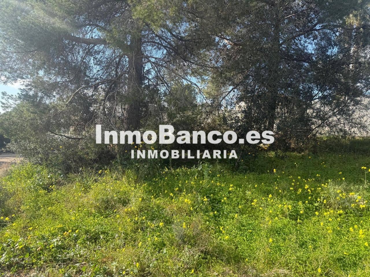 Undeveloped Land for sale in Torrent - € 70,000 (Ref: 9427758)