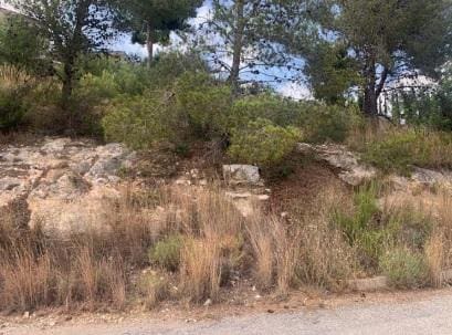 Mark till salu i Chiva - 58 700 € (Ref: 9427761)