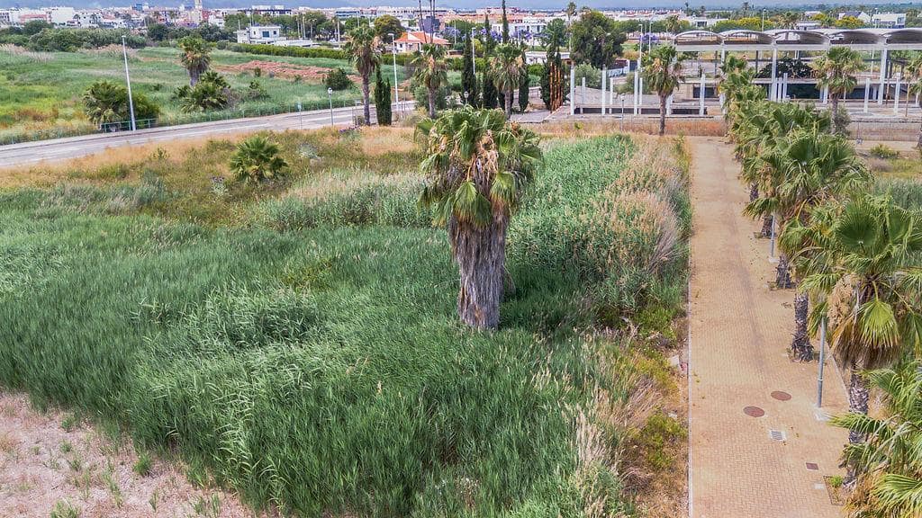 Rakentamaton maa myytävänä paikassa Moncofa - 243 000 € (Ref: 9427772)