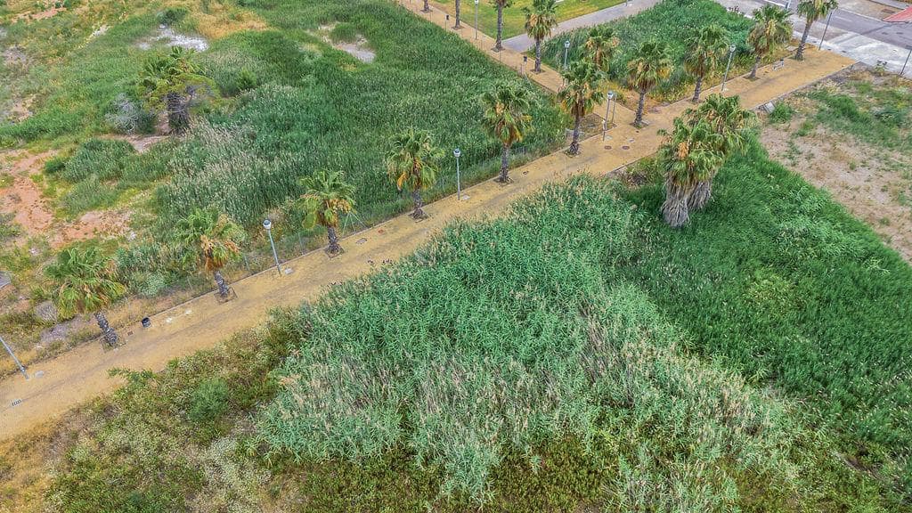 Rakentamaton maa myytävänä paikassa Moncofa - 243 000 € (Ref: 9427772)