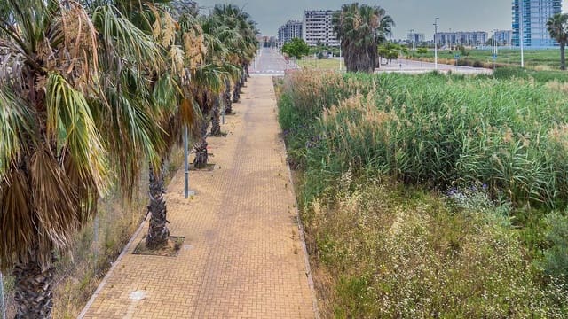 Rakentamaton maa myytävänä paikassa Moncofa - 243 000 € (Ref: 9427772)