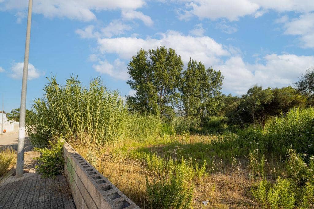 Teren niezagospodarowany na sprzedaż w Denia - 805 000 € (Ref: 9427775)