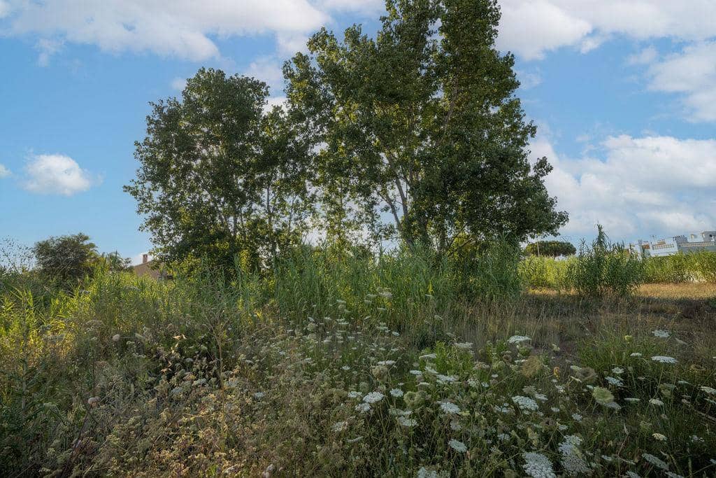 Teren niezagospodarowany na sprzedaż w Denia - 805 000 € (Ref: 9427775)