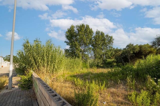 Teren niezagospodarowany na sprzedaż w Devessa - Monte Pego, Dénia - 805 000 € (Ref: 9427775)