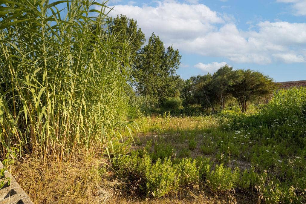 Teren niezagospodarowany na sprzedaż w Denia - 805 000 € (Ref: 9427775)