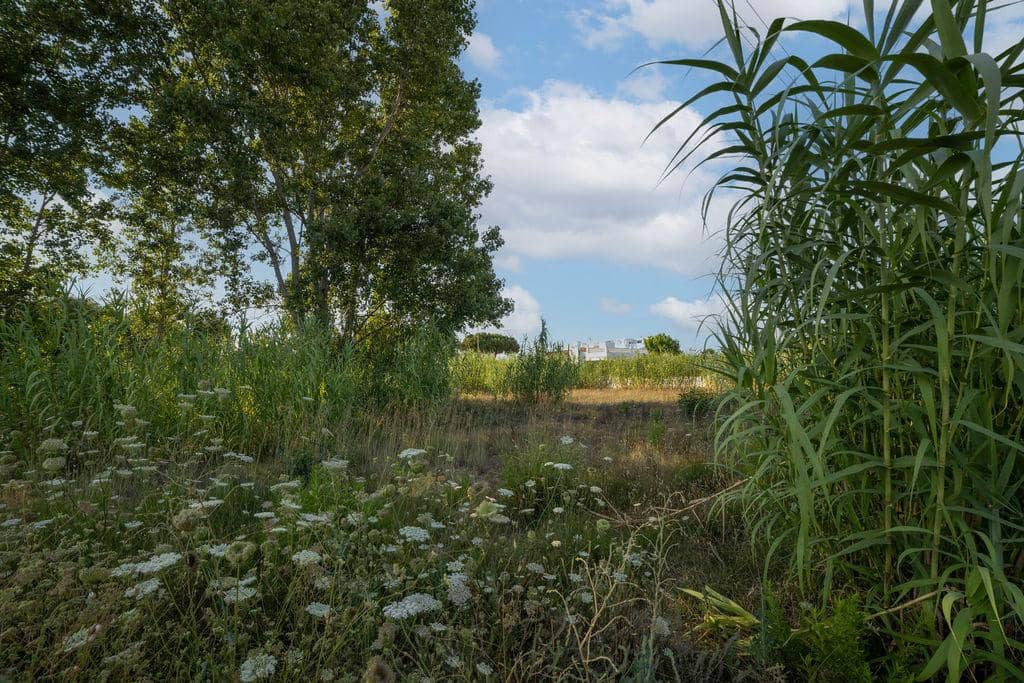 Teren niezagospodarowany na sprzedaż w Denia - 805 000 € (Ref: 9427775)