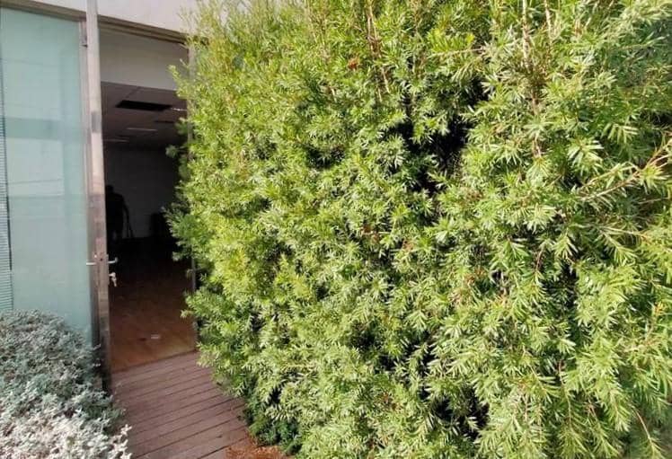 Office for sale in Paterna - € 117,000 (Ref: 9427790)