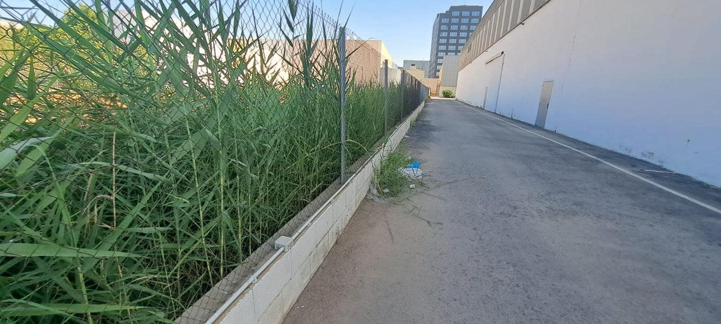 Commercial for sale in Alfafar - € 6,500,000 (Ref: 9427810)