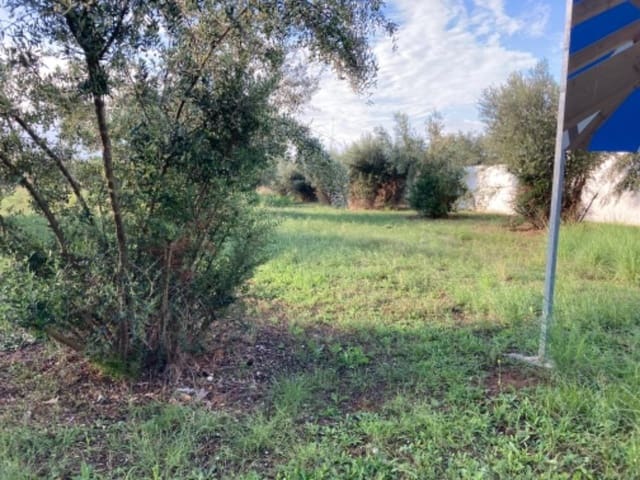 Landgrundstück zu verkaufen in Alcàsser - 72.000 € (Ref: 9427866)