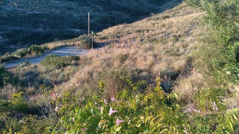 Mark till salu i Chiva - 85 000 € (Ref: 9427869)