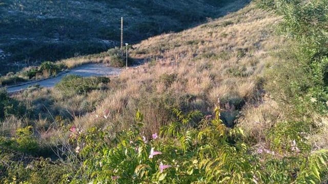 Mark till salu i Chiva - 85 000 € (Ref: 9427869)