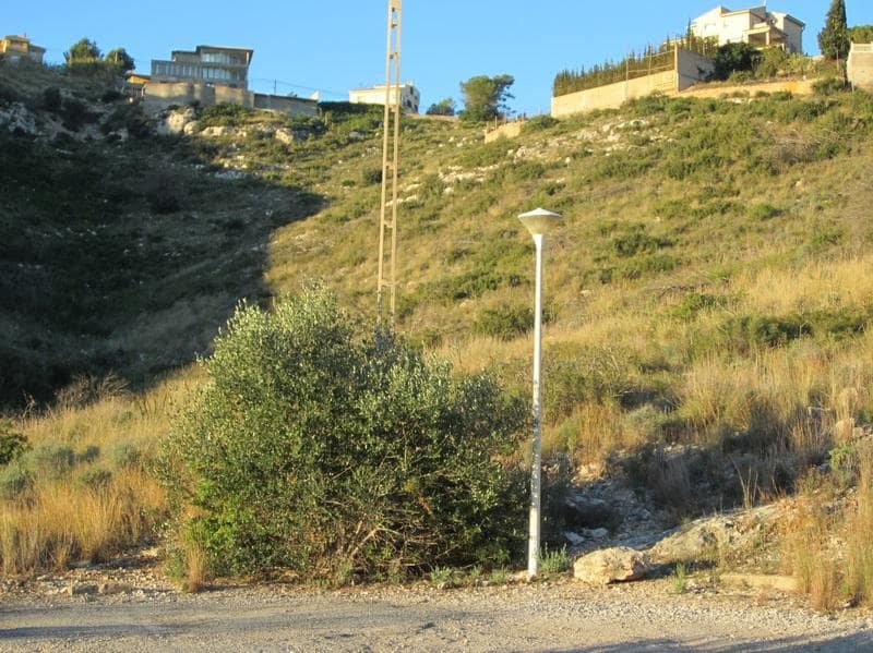 Mark till salu i Chiva - 85 000 € (Ref: 9427869)