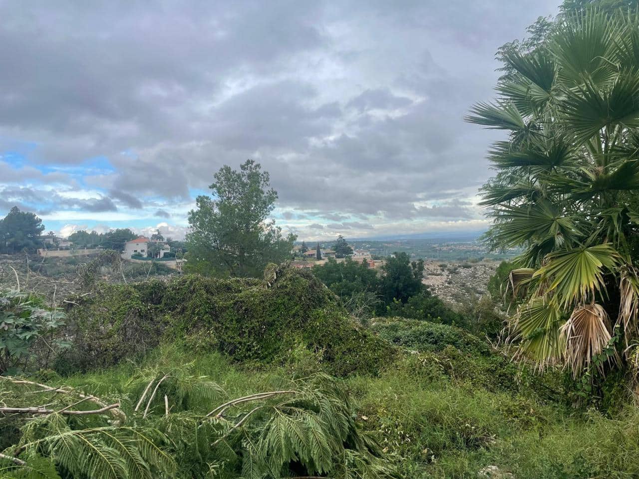 Undeveloped Land for sale in Torrent - € 75,000 (Ref: 9427870)