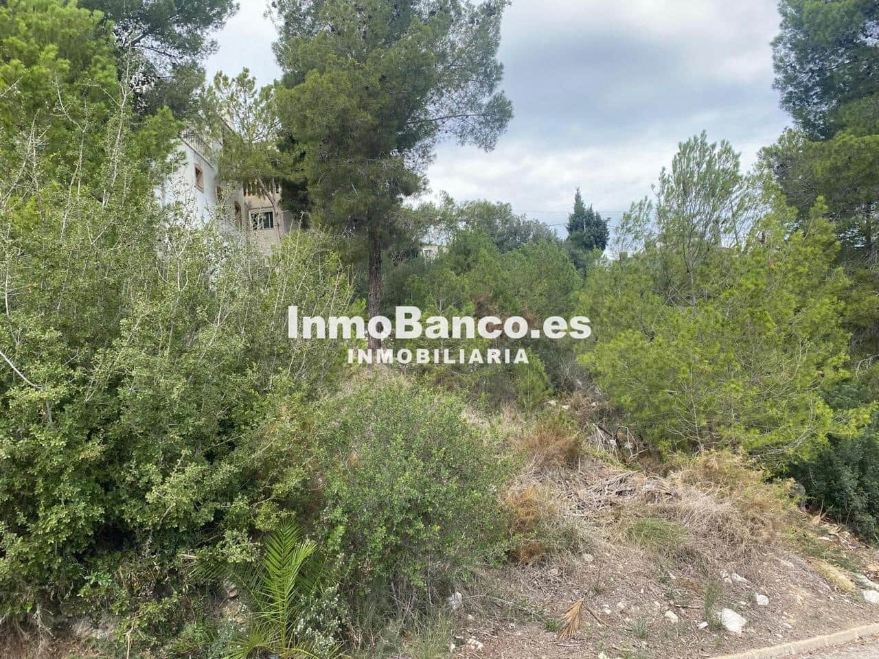 Grunde uden byggetilladelser til salg i Torrent - € 65.000 (Ref: 9427871)