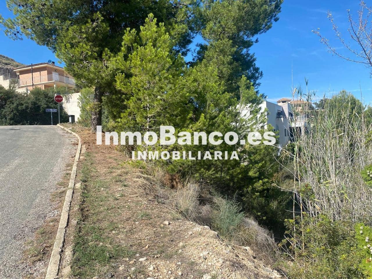 Terreno Não Urbanizado para venda em Chiva - 96 000 € (Ref: 9427872)