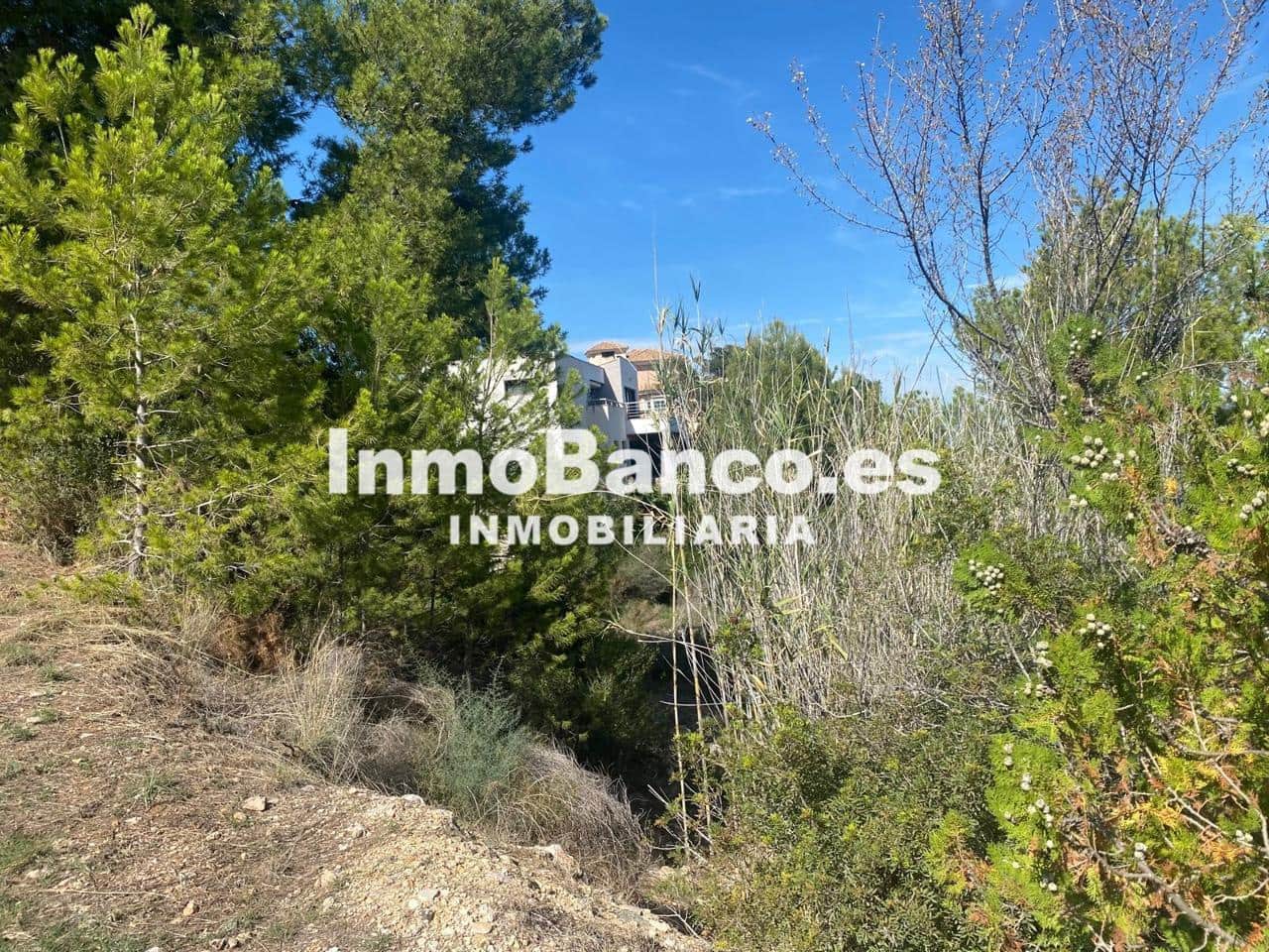 Terreno Não Urbanizado para venda em Chiva - 96 000 € (Ref: 9427872)