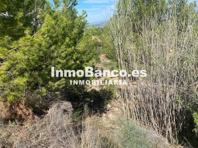 Terreno Não Urbanizado para venda em Chiva - 96 000 € (Ref: 9427872)