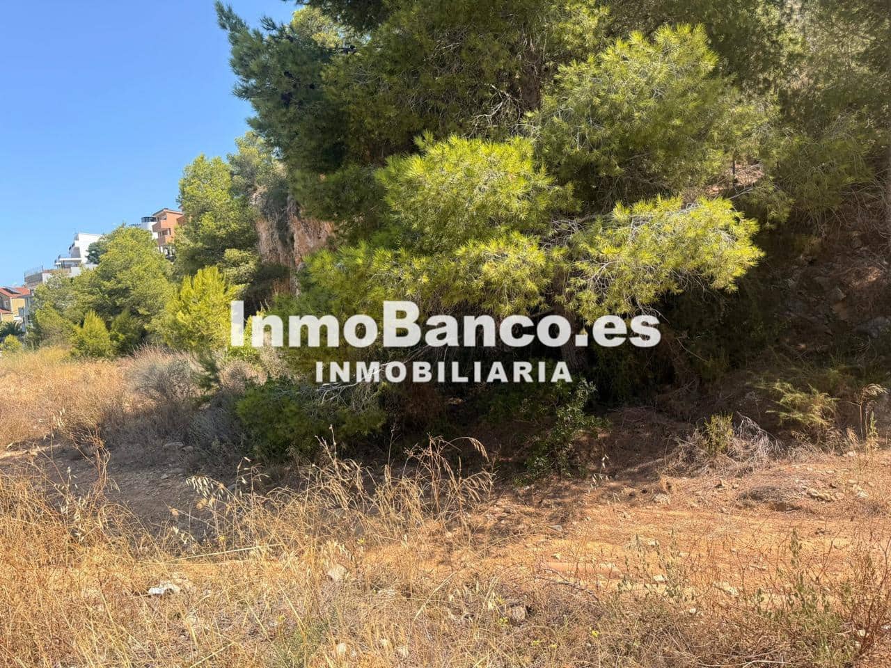 Undeveloped Land for sale in Chiva - € 40,000 (Ref: 9427874)