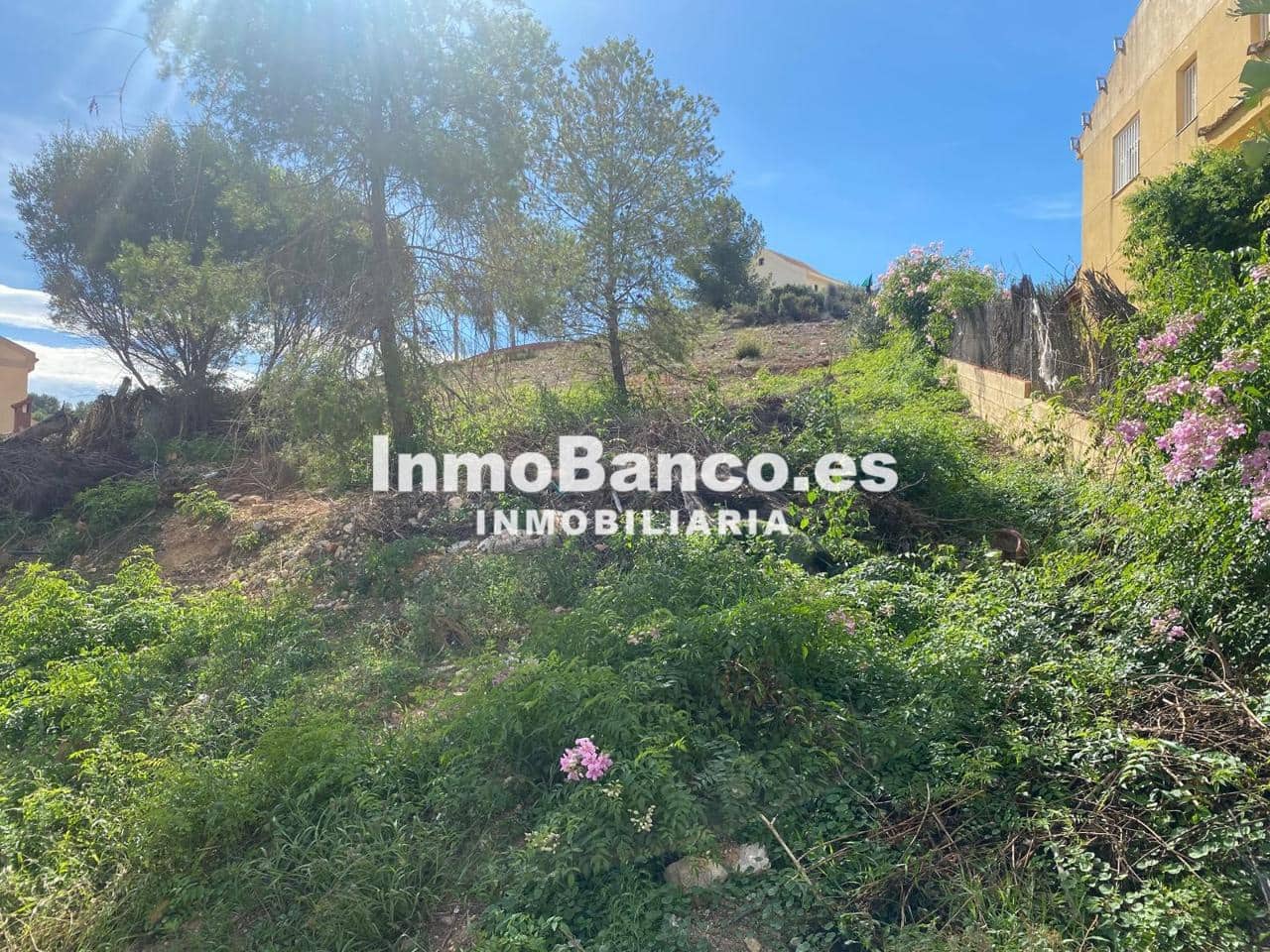 Undeveloped Land for sale in Chiva - € 67,000 (Ref: 9444929)