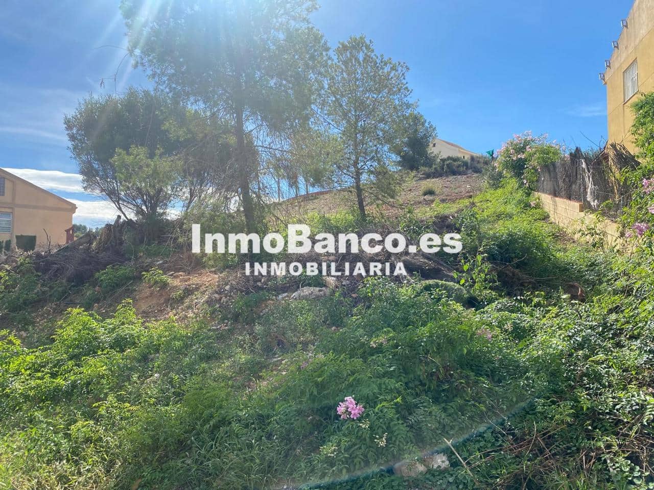 Undeveloped Land for sale in Chiva - € 67,000 (Ref: 9444929)