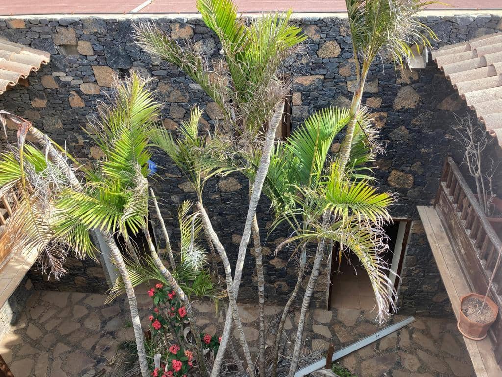 7 sypialnia Biznes na sprzedaż w Casillas del Angel - 303 000 € (Ref: 9539700)