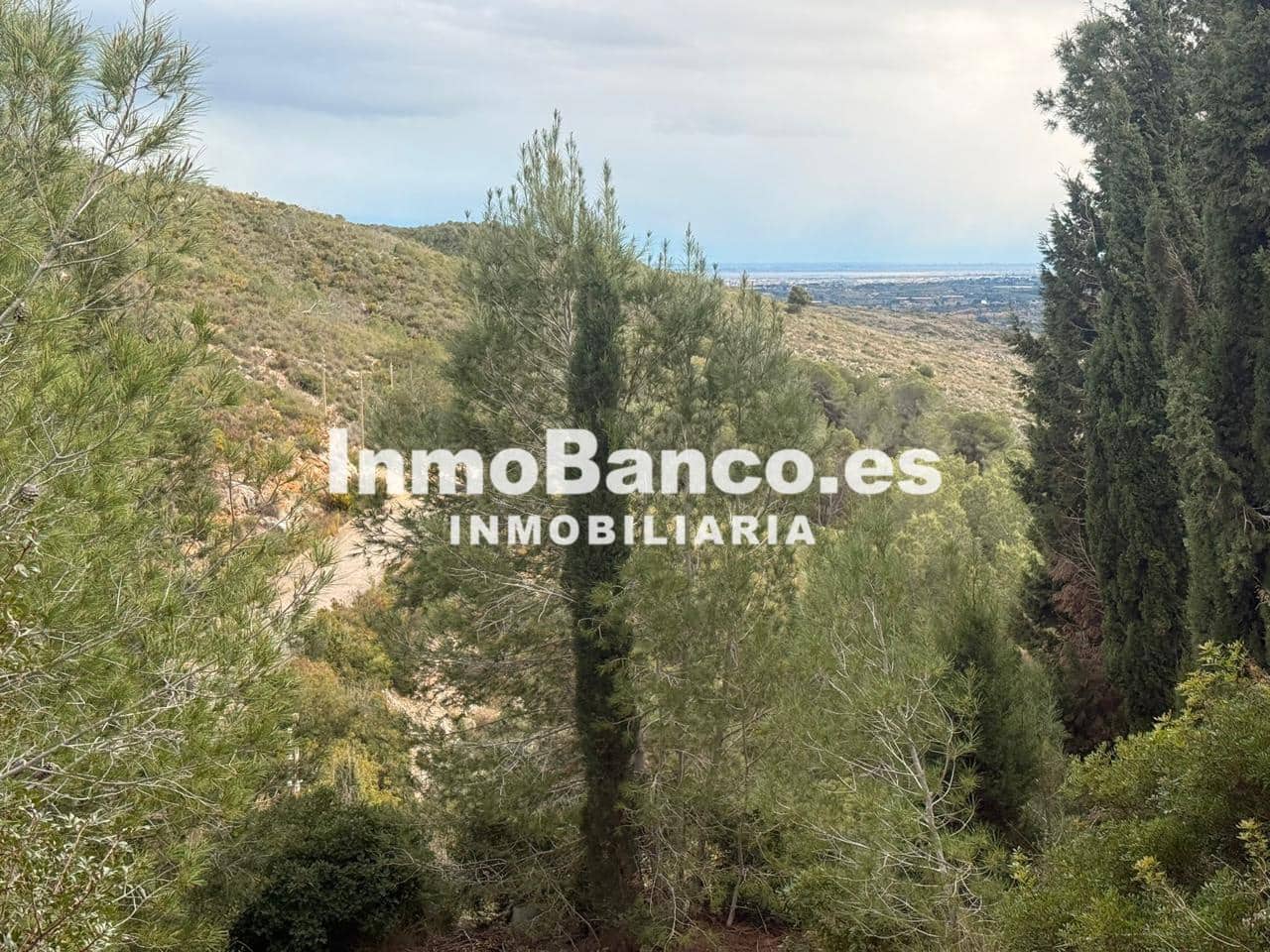 Teren niezagospodarowany na sprzedaż w Torrent - 110 000 € (Ref: 9557371)