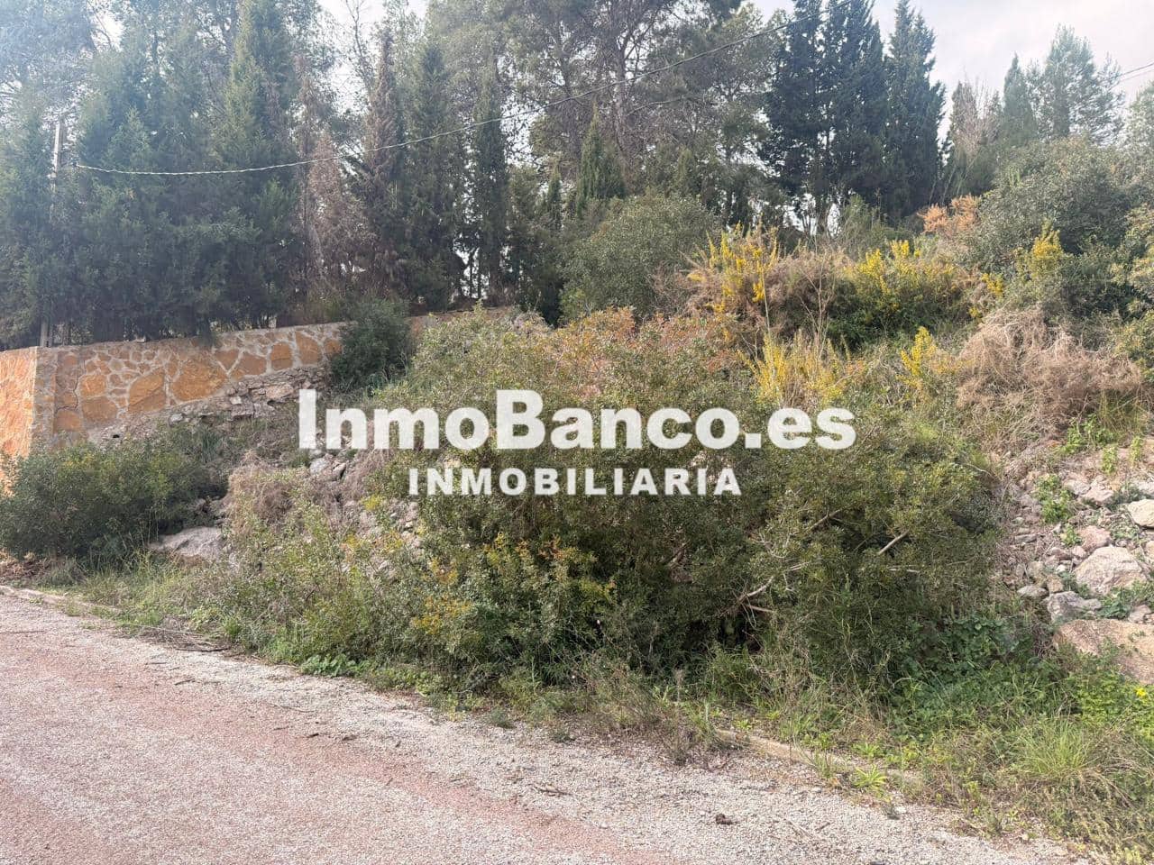 Teren niezagospodarowany na sprzedaż w Torrent - 110 000 € (Ref: 9557371)