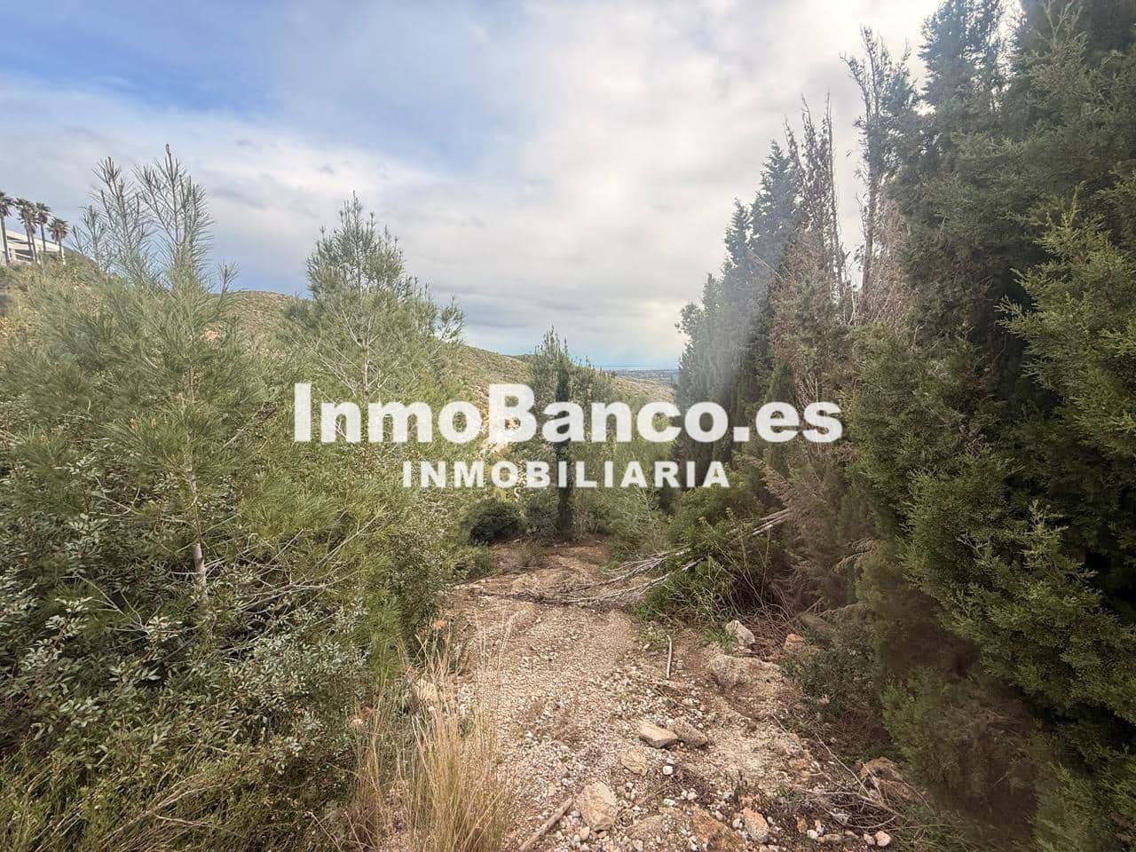 Teren niezagospodarowany na sprzedaż w Torrent - 110 000 € (Ref: 9557371)