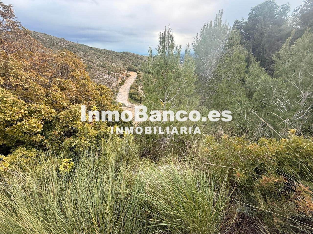 Teren niezagospodarowany na sprzedaż w Torrent - 110 000 € (Ref: 9557371)