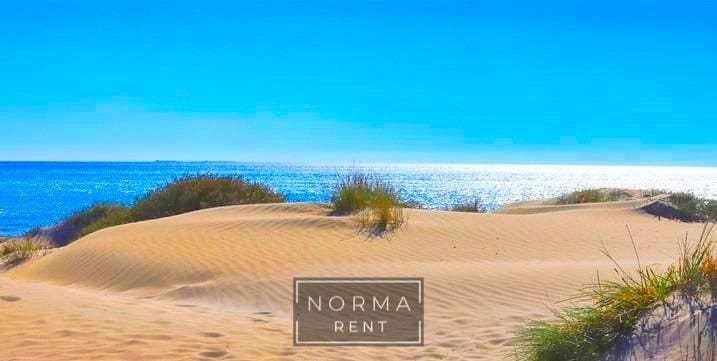 3 Zimmer Villa zu vermieten in Guardamar del Segura mit Pool - 2.750 € (Ref: 10059242)