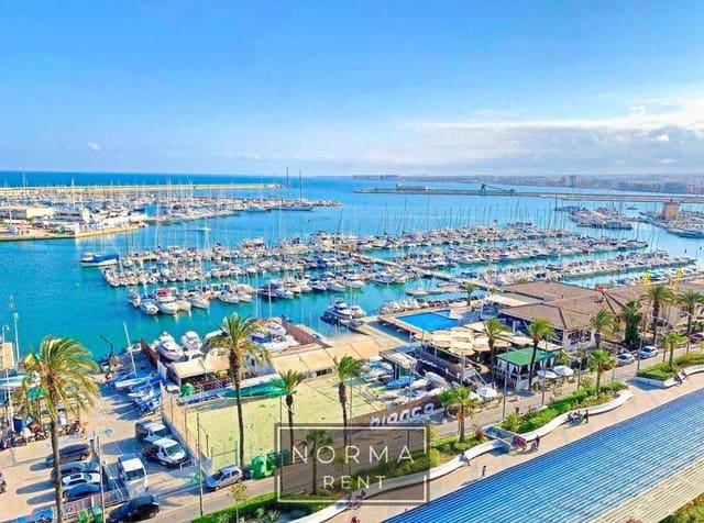 Studio te huur in Centro - Muelle Pesquero, Torrevieja - € 600 (Ref: 9118806)