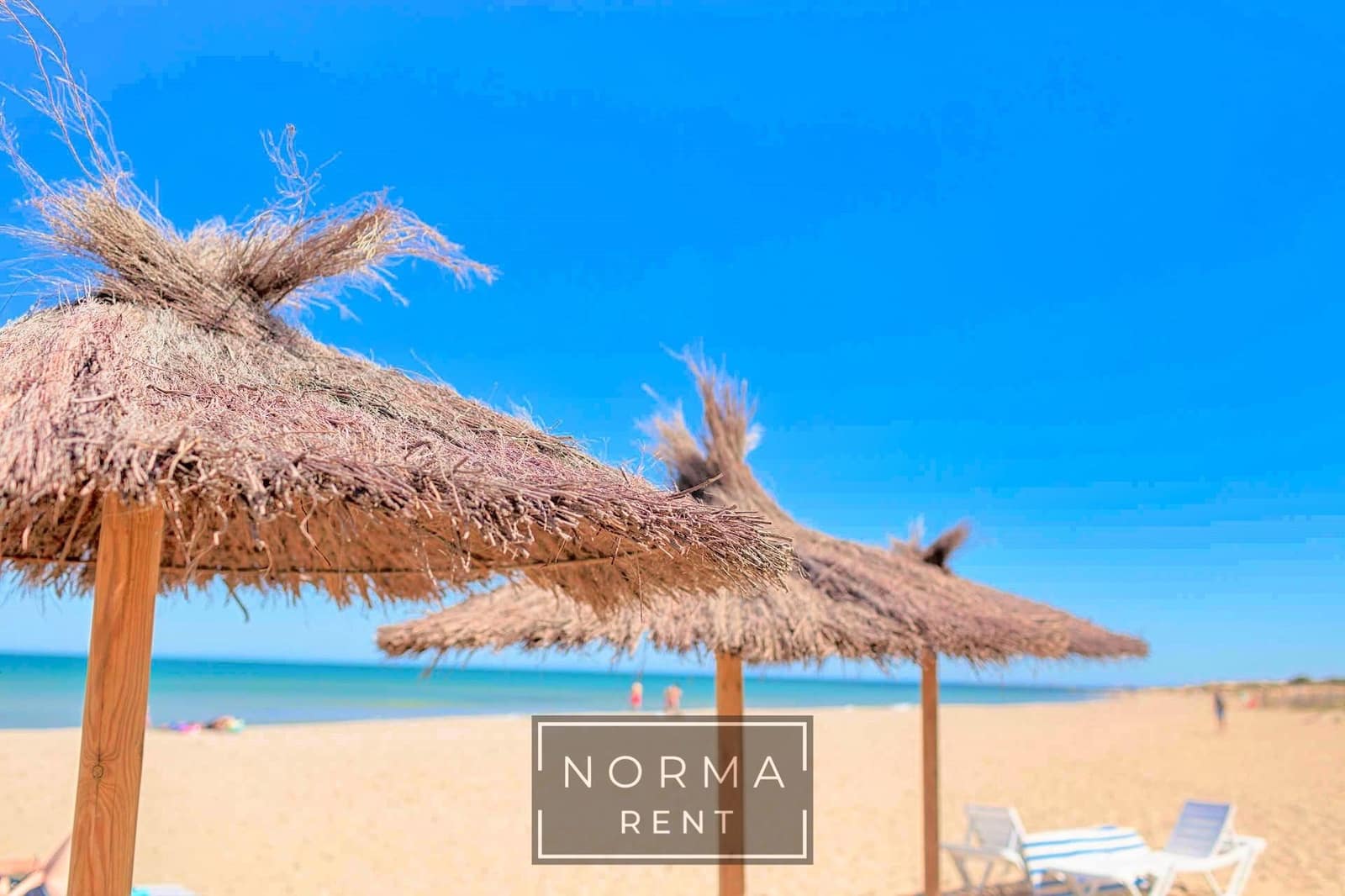 2 bedroom Bungalow for rent in Gran Alacant with pool - € 1,100 (Ref: 9440605)