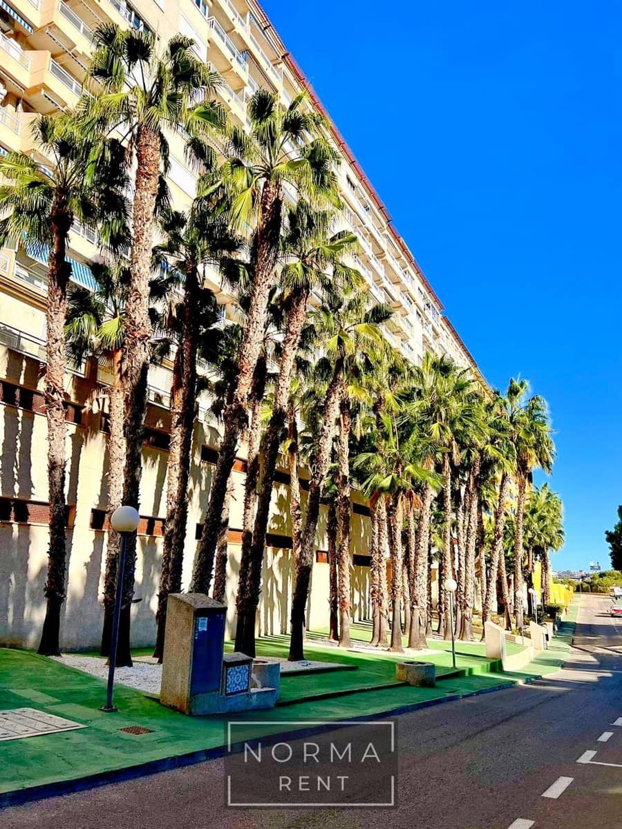 3 soveværelse Lejlighed til leje i Campoamor med swimmingpool - € 950 (Ref: 9449383)