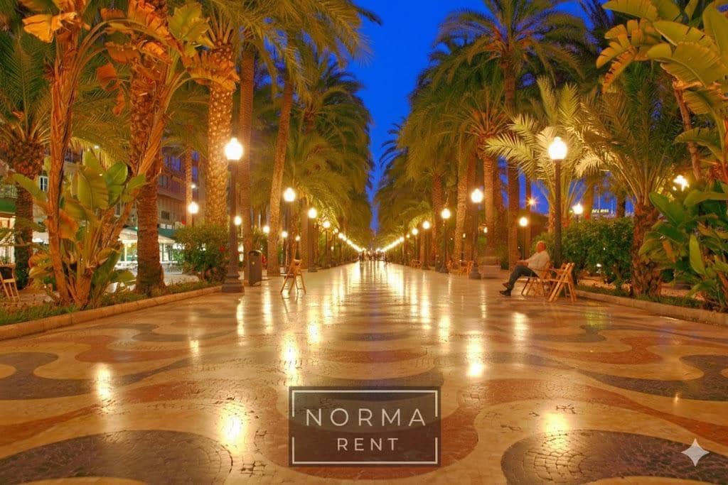 4 camera da letto Appartamento da affittare in Alicante citta - 2.700 € (Rif: 9555949)