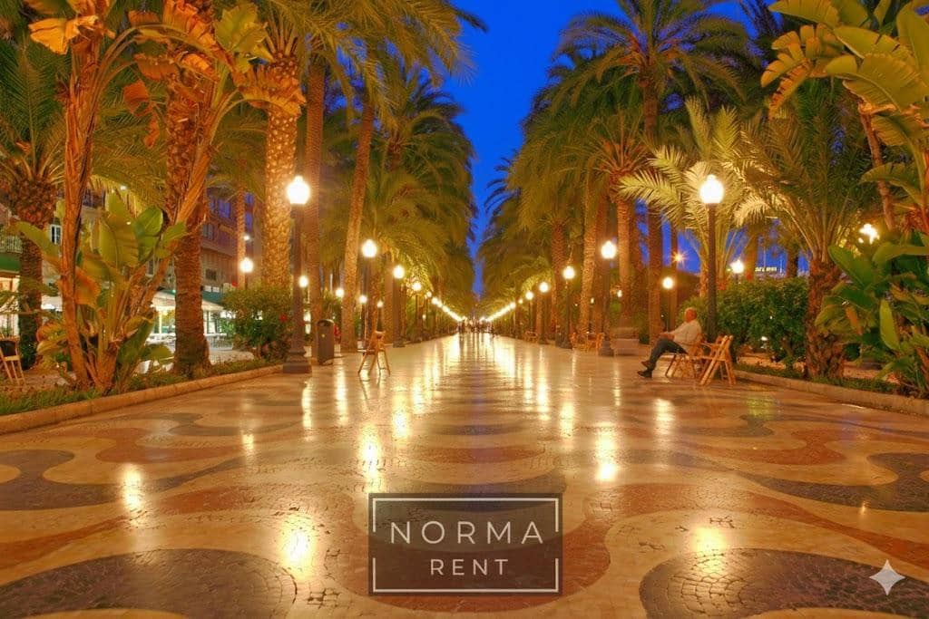 Estudio en Alicante / Alacant ciudad en alquiler con garaje - 1.050 € (Ref: 9801307)