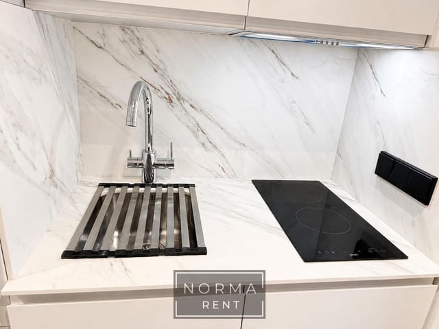 Studio for rent in Ensanche - Diputacion, Alicante / Alacant city - € 1,050 (Ref: 9801307)